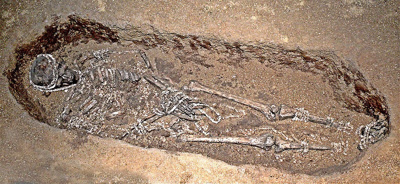 موقع دفن من العصر الحجري القديم الأعلى في سانغر، روسيا. المصدر: Wiki Commons
