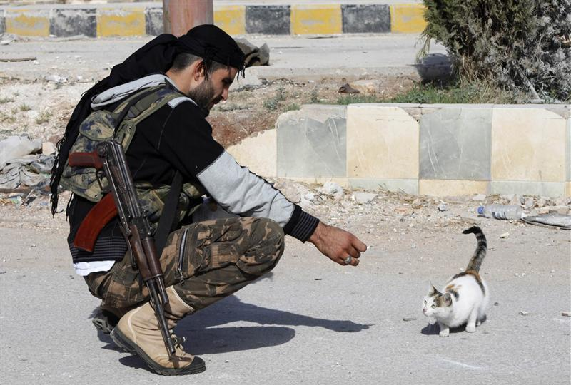 The lion's den: A brief animal history of the Syrian conflict  
